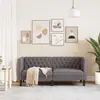 Двухместный диван VidaXL 372662 серый Photo 3