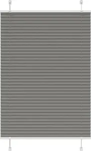 Pleated blackout blind VidaXL 100x150 cm, fabric width 99.4 cm, anthracite
