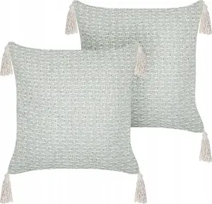 Cushion set Beliani HAKONE — 2 polyester cushions, mint color