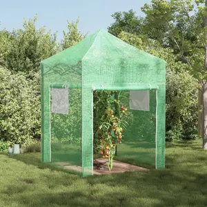 Зеленая теплица VidaXL 200 x 200 x 300 см, стальная конструкция