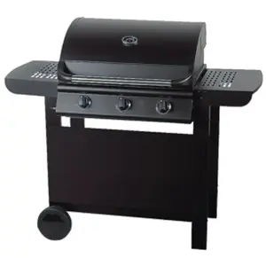 Gas Grill Master Grill MG665 — 10.5 kW, cooking area 41 × 31 cm