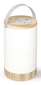 Table lamp AVIDE ALPDL-RGB-PB-N — LED 1.8 W, 120 lm, White/Wood, USB and battery, 173 mm height