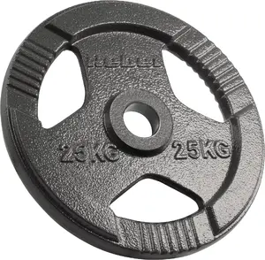 Olympic Cast Weight Plate 25 kg, 51 mm Center Hole, Grip Plate — Rebel Active