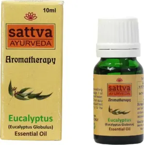 Essential Oil Eucalyptus 10 ml – No name brand, pure eucalyptus essential oil, 10 ml bottle