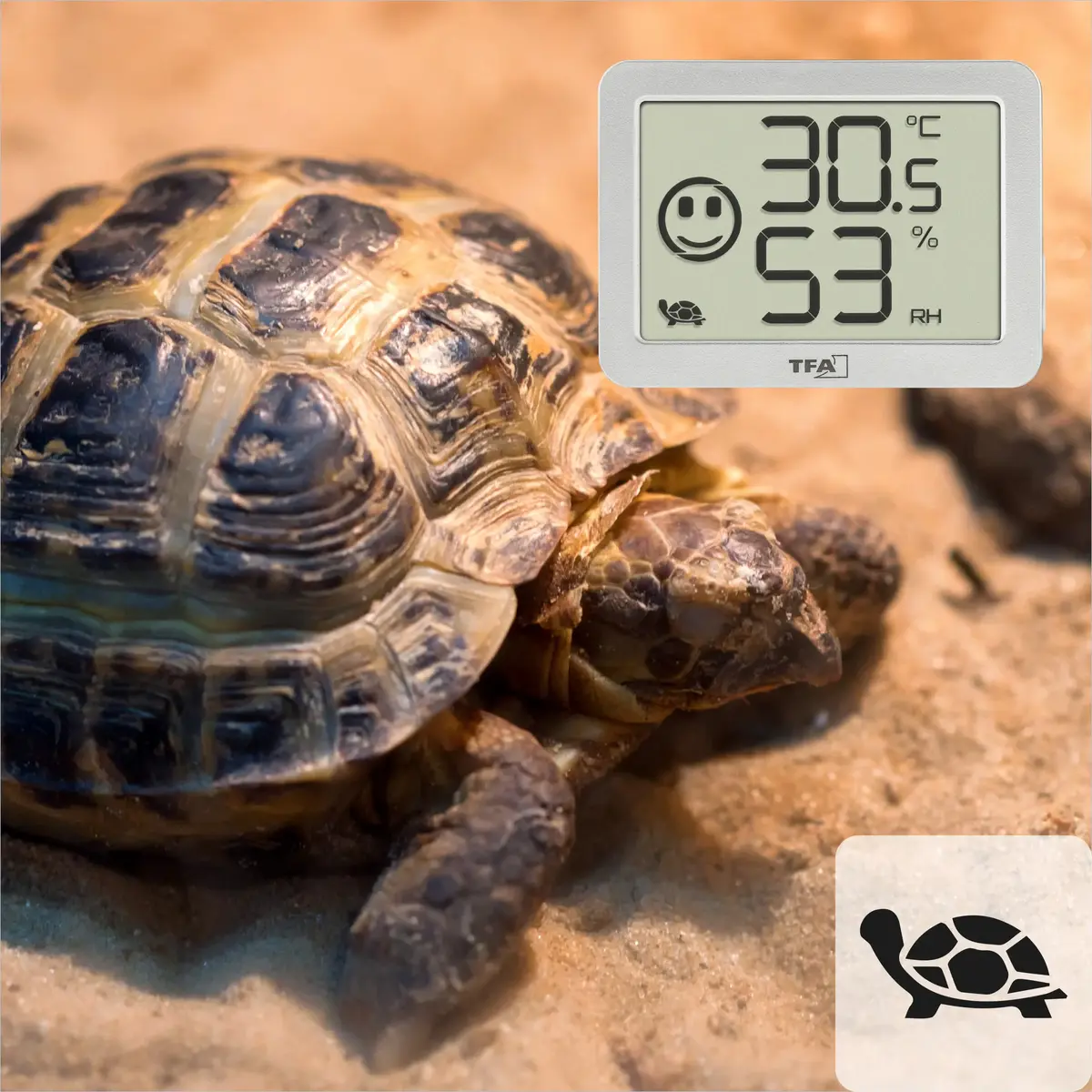 TFA 30.5055.02 indoor electronic hygrometer Photo 4