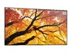 NEC MultiSync PN‑M982 интерактивная 97,5" 4K панель Photo 3