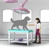 Schleich Horse Club 42787 игровой набор Photo 5