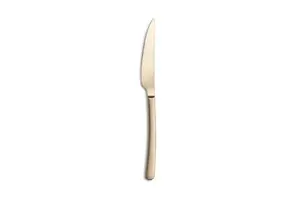 Table Knife COMAS VIOLET SATIN CHAMPAGNE, stainless steel — model ES2212109