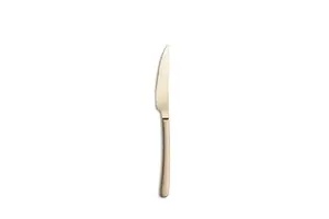 Cutlery knife COMAS VIOLET SATIN CHAMPAGNE for appetizers/desserts, stainless steel (MPN ES2212112)