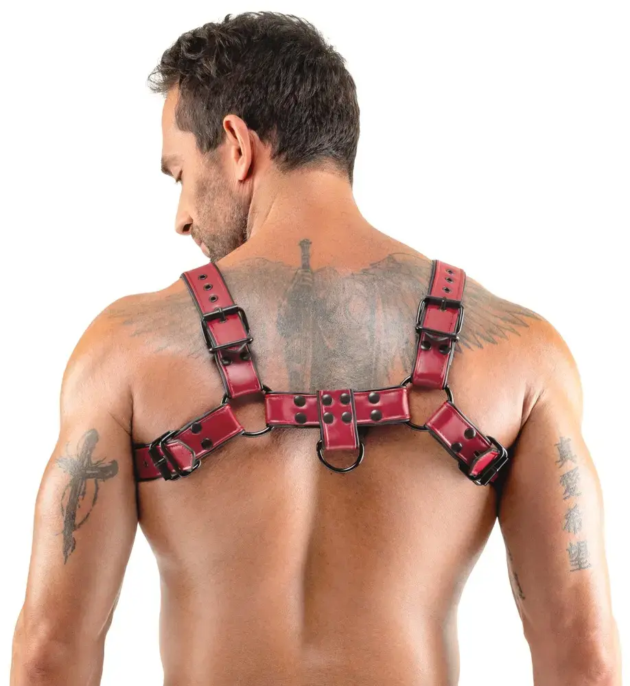 Svenjoyment Men's Chest Harness красный S-XL Photo 5