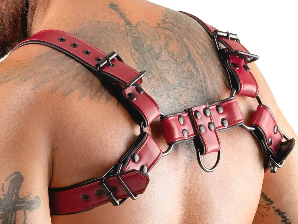 Svenjoyment Men's Chest Harness красный S-XL Photo 8