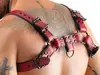 Svenjoyment Men's Chest Harness красный S-XL Photo 8