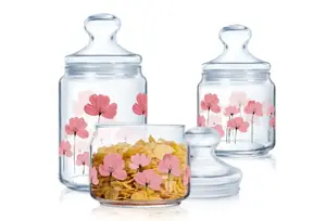 Food storage jar Arcoroc Floralis Club with glass lid 0.5 L, FR01X1081/0.5