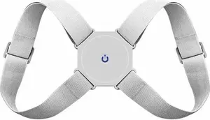 Correction Bracket Aptel BQ23B mounting stand for alarm devices — gray