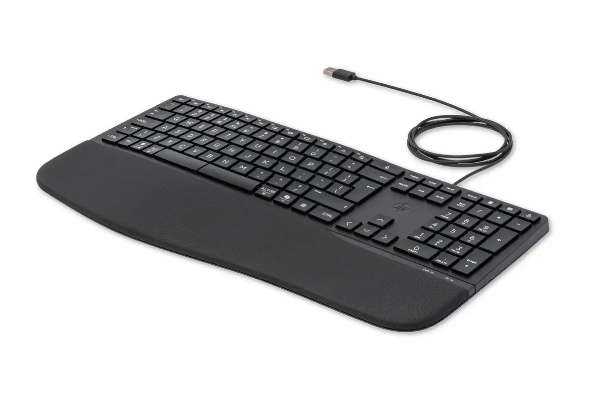 KINGSTON Wired Keyboard 480 Comfort 8T6M1AA#ABB Photo 2