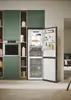 CANDY ECN4CQTEX186 freestanding refrigerator Photo 12