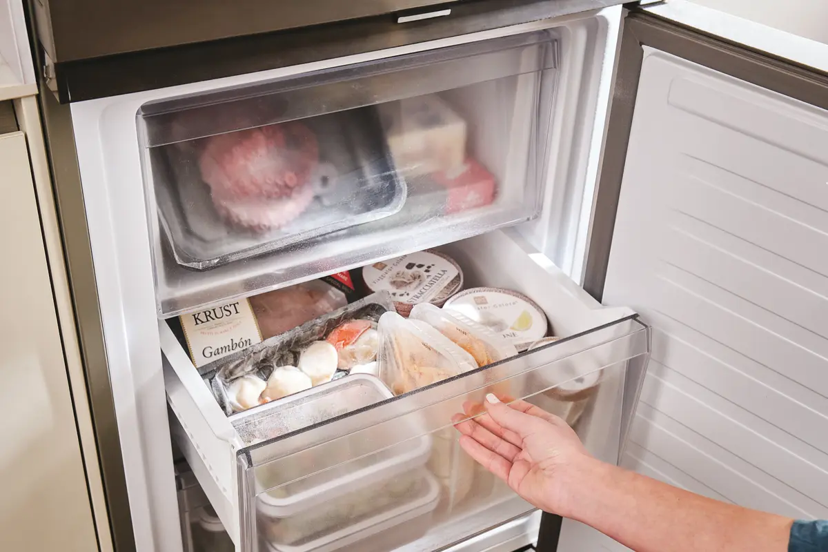 CANDY ECN4CQTEX186 freestanding refrigerator Photo 18