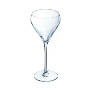 Glass on Stem 21 cl Arcoroc BRIO – clear crystal drinking glass, stemmed 210 ml