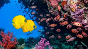 Vivid colours