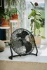 Velocity fan Adler AD 7334 — 45 cm, 110 W Photo 13