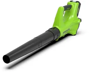 Leaf blower GreenWorks G24ABII 24V battery-powered handheld