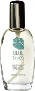 Парфюм (Eau de Parfum) Elizabeth Arden Blue Grass 100 мл — цветочный аромат для женщин