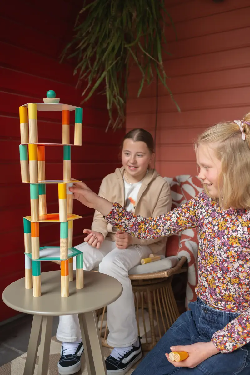 BS Toys Mega Balance Game игра на баланс Photo 13
