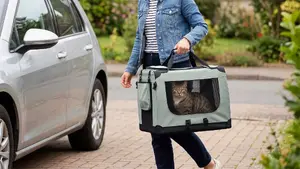 Rebel Transporter foldable transport bag M 60×42×42 cm gray - Rebel Animals