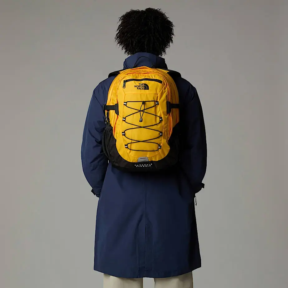 Рюкзак The North Face Borealis Classic Photo 2
