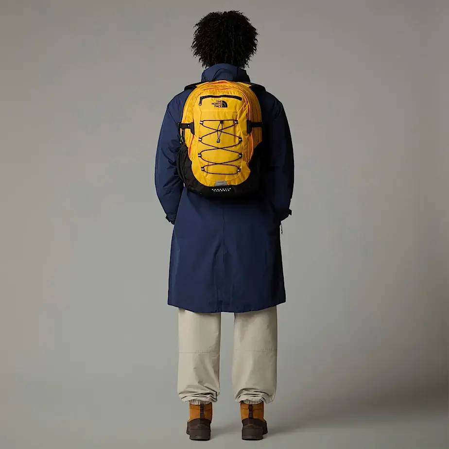 Рюкзак The North Face Borealis Classic Photo 9