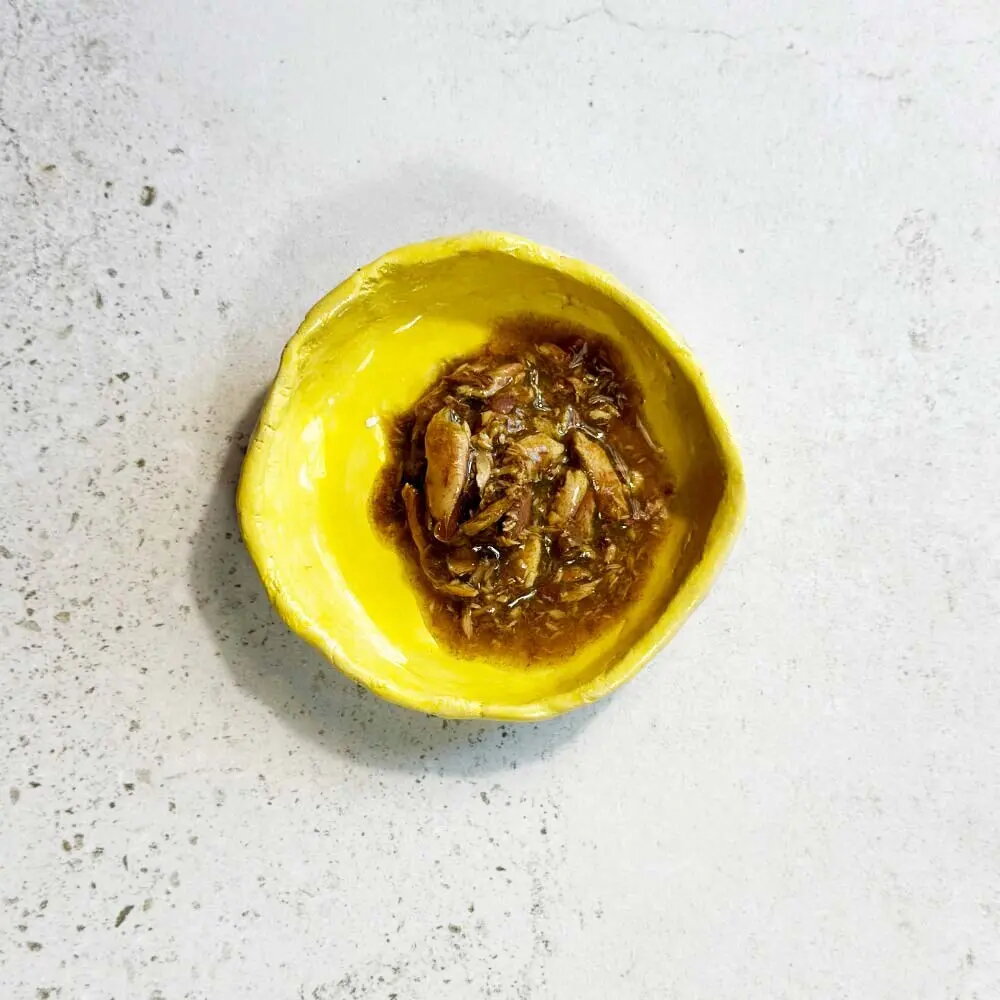Cat Food
