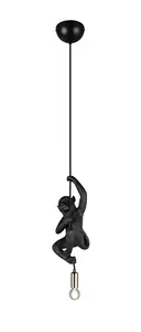 Pendant Luminaire TRIO R36551002 — E14 socket, black finish