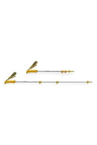 Nordic nūjas Salewa Kije repoles-gold