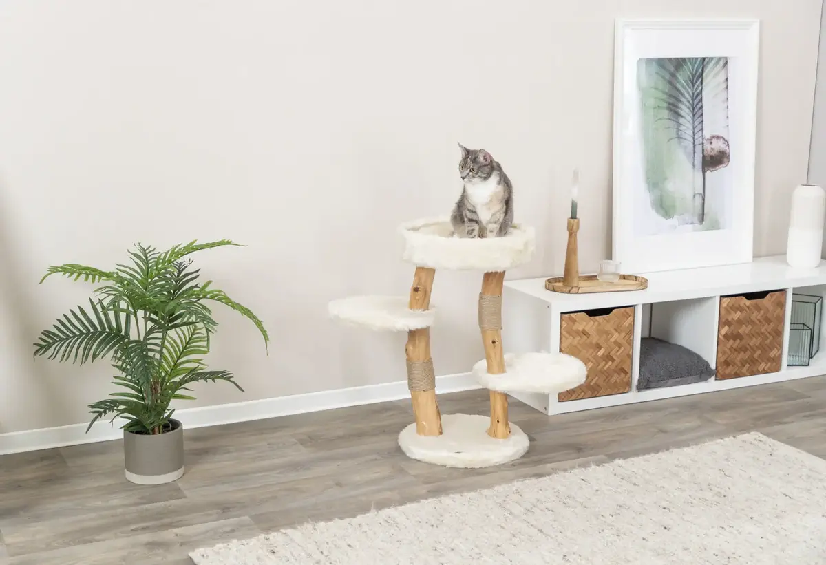 Trixie Santo TX-44714 cat scratching bed 73 cm Photo 6