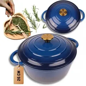 Cast iron enameled pot Atusa Hage 26 cm 5 L blue