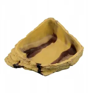 Dekoratīva bļoda terārijam Terra Natura TN-44566 tuksneša stūra liela 22,5×19×8 cm