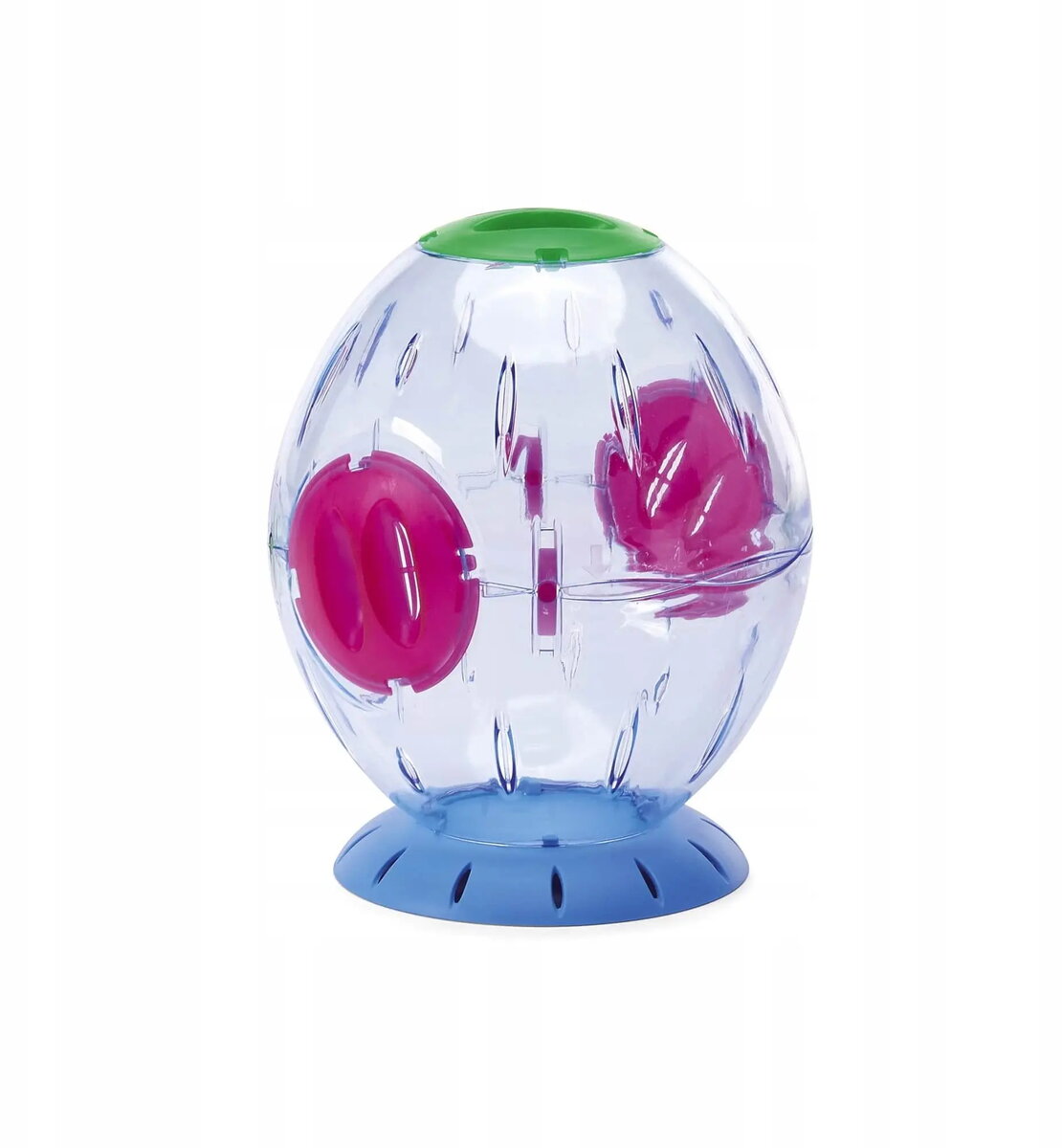 Pet Accessories