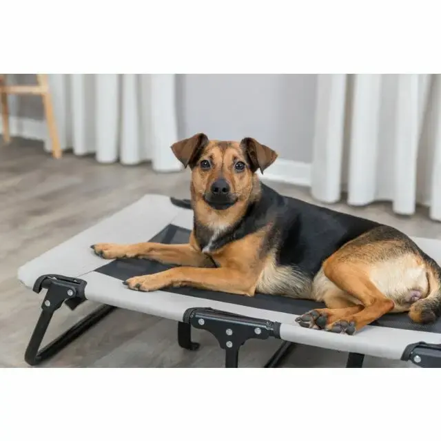 Trixie 28213 кровать-платформа 1200×700×190 мм Photo 9