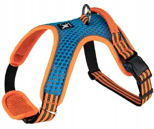 Harness Barry King S size, blue-orange reflective, neck pad, neck 38–49 cm, chest 41–63 cm