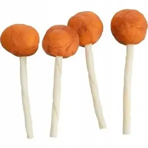 Suns konfekte Trixie PREMIO Lolly ar mencu, 9 cm, 15 g — iepakojums 60 gab.