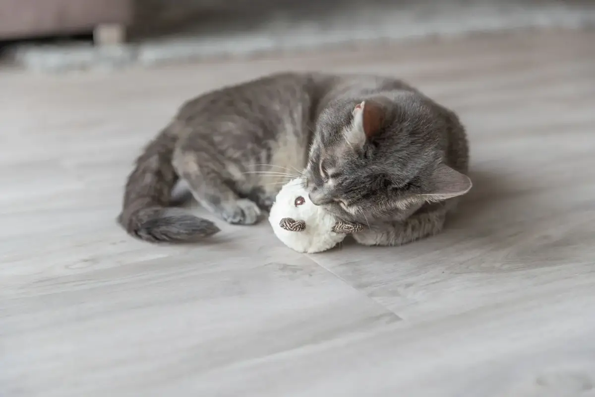 Плюшевая игрушка для кошек Trixie 45557 Photo 3