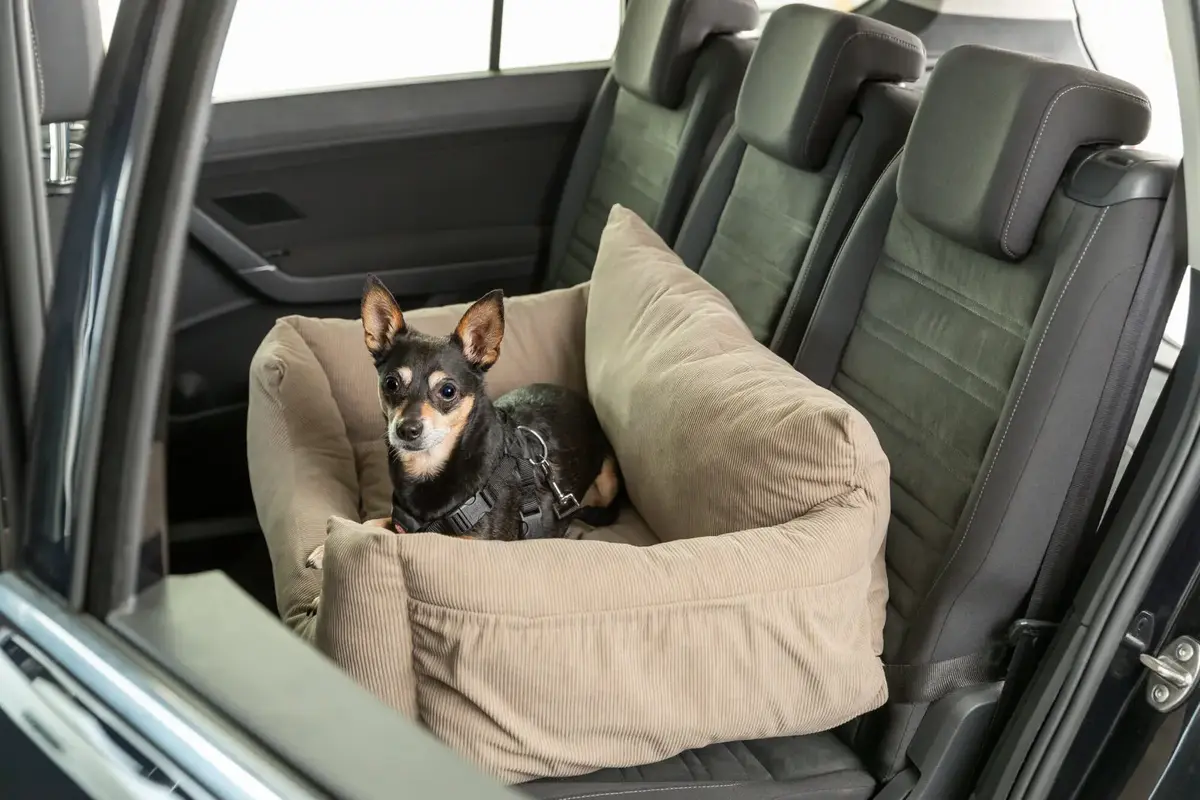 Trixie TRIXIE 13221 dog car seat/boot cover Photo 6