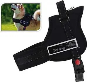 Pet Collars & Leashes