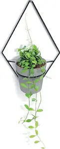 Sienas pods Prosperplast Showy Hanger 38 cm — plastmasas karājošs puķupods