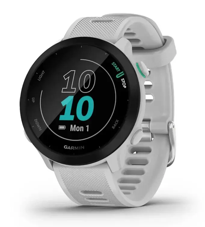 GARMIN Forerunner 55 GPS 42 mm White Photo 2