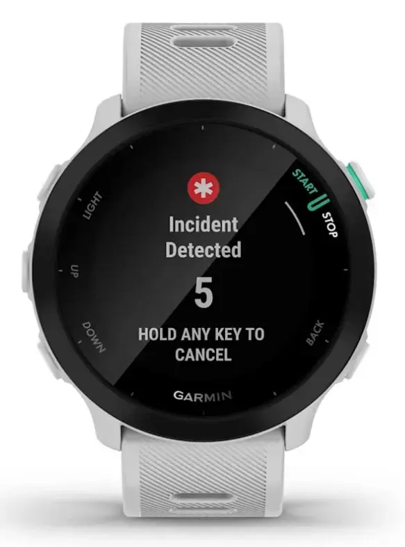 GARMIN Forerunner 55 GPS 42 mm White Photo 8