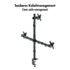 LOGILINK BP0218 trīskāršs stiprinājums 17–27" Photo 8