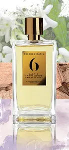 Perfume Triton Rosendo Mateu #6 — Eau de Parfum for Men, 100 ml, non-refillable bottle