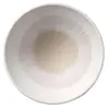 APS BLUSH melamīna pasniegšanas bļoda 0,5 L Photo 2