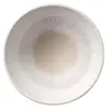 APS BLUSH меламиновая миска 0,9 л Photo 2
